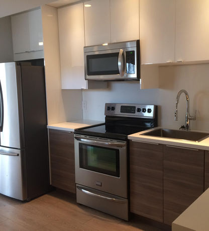 Basement Suite Kitchen Remodel